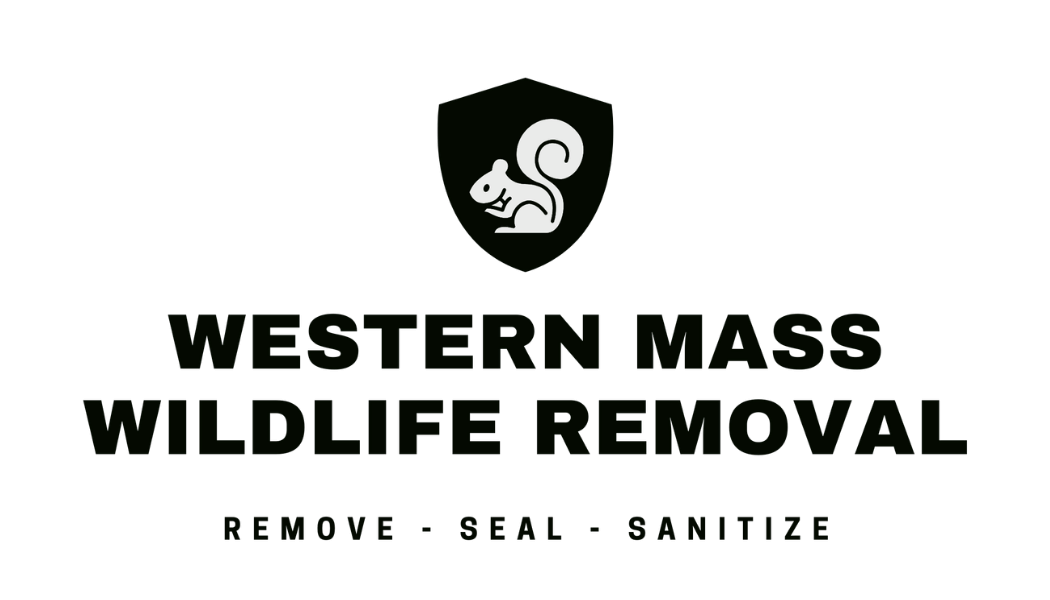 western mass wildlife removal logo