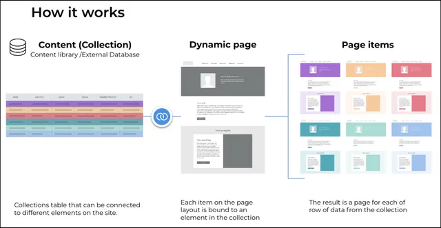 dynamicpages1_en-640w.png Graphic showing how Duda's dynamic pages work.